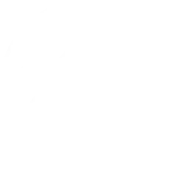 De Sjaopskooi icon
