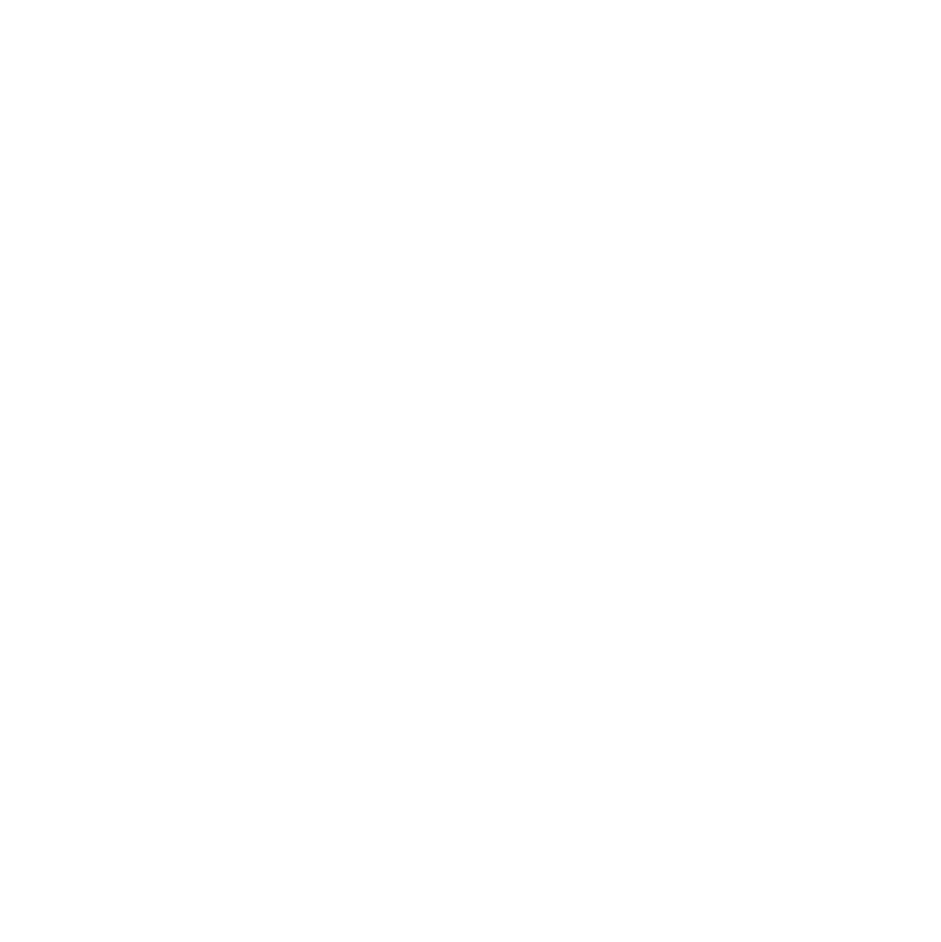 De Sjaopskooi icon